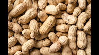 Incredible Health Benefits of Peanuts #shorts #herbs #health #natural #peanuts #herbal