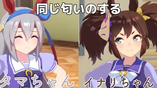 【ウマ娘】同じ匂いがするタマちゃんとイナリちゃんを比べてみた件。