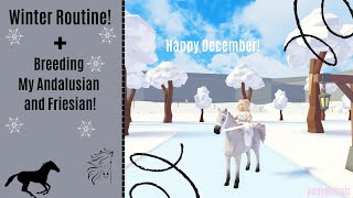 | Winter Routine + Breeding My Andalusian And Friesian! |