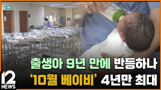 출생아 9년 만에 반등하나…'10월 베이비' 4년만 최대 / EBS뉴스 2024. 12. 27