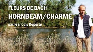 Vidéo définition Fleurs de Bach Charme/Horbeam