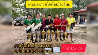 งานประกวดไก่พื้นเมืองไทย งานวันสับปะรดหวาน อำเภอปลวกแดง จ.ระยอง 29/4/66