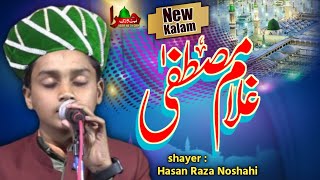 Koi Bhi Hal Ho Par Ishq Ko | Hasan Raza Noshahi | Sayyedul Ambeya Conference Madkan Sharif