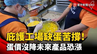 庇護工場缺蛋苦撐！蛋價沒降未來產品恐漲｜#寰宇新聞 @globalnewstw