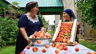 Natural Peach Juice, Jam and Making Peach Cake | Relaxing Village life