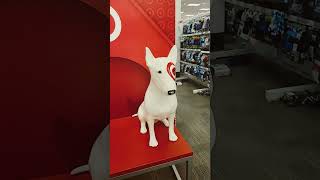 target dog 🐕 ❤️ Sprial