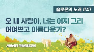 [솔로몬의 노래] #47. 오 내 사랑아, 너는 어찌 그리 어여쁘고 아름다운가?