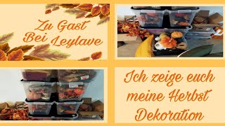 Ich zeige dir meine Herbst Dekoration Teil 1/2