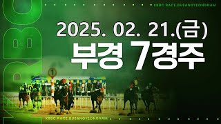 (부산) 2025.02.21 7경주