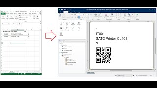 Connect Excel Data to NiceLabel and Print Label From Excel Data
