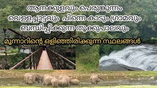 PERUMBANKUTHU WATERFALLS!Anakulam! Munnar! Middle class family( പേടിയുള്ളവർ ഇവിടെ വരരുത്)