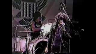 The Ramones - Sheena is a Punk Rocker (live Ann Arbor '81)
