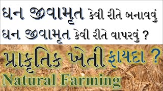 ઘન જીવામૃત કેવી રીતે બનાવવું ?, Ghan Jivamrut, Natural Farming, Subhash Palekar Zero Budget Farming