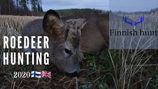 Roedeer hunting 2020 - Finnishhunt