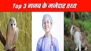 Top 3 गजब के मजेदार तथ्य | Facts About owls | Top 3 Amazing Facts | Amazing Facts| Facts | #shorts
