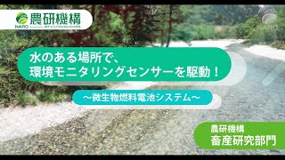 水のある自然環境下で発電してセンサーを駆動できる微生物燃料電池