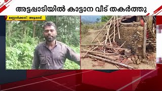 'പിറകിൽ നിന്ന് ശബ്ദം കേട്ട് തിരിഞ്ഞുനോക്കിയപ്പോ ആന' | Wild Elephant Attack | Attappadi