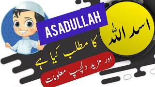 Asadullah name meaning in urdu and lucky number | Islamic Boy Name | Ali Bhai