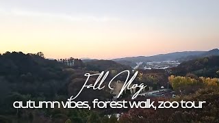 Fall Vlog | autumn vibes, forest walk, zoo tour