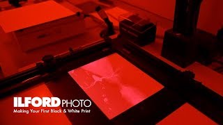 Making Your First Black & White Darkroom Print