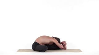 Head to Knee Pose - Janu Shirsha Asana