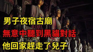 民間故事：男子夜宿古廟，無意中聽到黑貓對話，他回家趕走了兒子【老黑話詭】#六六民间故事 #民間故事#花開富貴#深夜淺讀#奇聞異事#爽文