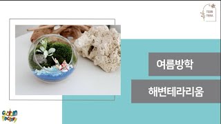 [프리미엄] 여름방학 해변테라리움