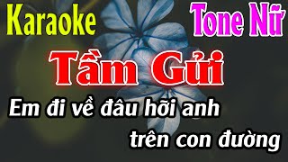 Tầm Gửi Karaoke Tone Nữ Karaoke Lâm Organ - Beat Mới