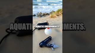 Fishing Kit Basics: Survival Angling Essentials