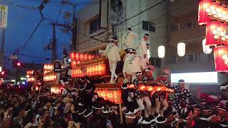 鳳だんじり祭り　紙破り