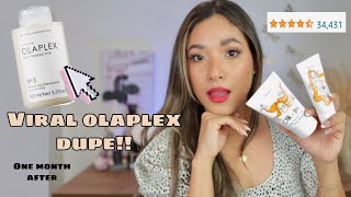 Testing Viral Olaplex Dupe! Elizavecca CER-100 Collagen Coating Protein Treatment | FOR ONE MONTH