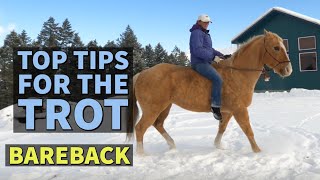 4 BIGGEST TIPS FOR TROTTING BAREBACK