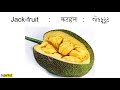 vegetables सब्जियों के नाम શાકભાજી ના નામ vegetables names in hindi gujarati sabji ke naam