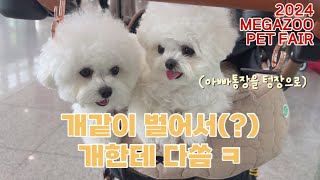 [체리블리 no.18] 메가주 펫페어 | 강아지 축제 | 강아지 일상 VLOG | 일산 펫페어 | 펫페어 꿀팁 | 일산 킨텍스 | 2024 메가주 | 통장이 텅장되다