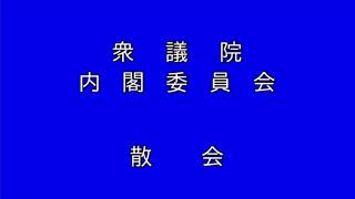 20210407衆議院内閣委員会（国会中継）