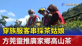 穿族服客串採茶姑娘 方莞靈推廣家鄉高山茶