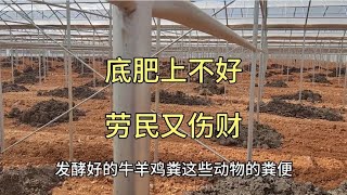 一底低三追是落伍的老思想，底肥上不好，劳民伤财，破坏土壤