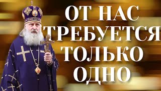 WE ARE SIN, SHAME AND SHAME! / Metropolitan Theognost