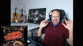 Violinist Reaction Frank Zappa Andy