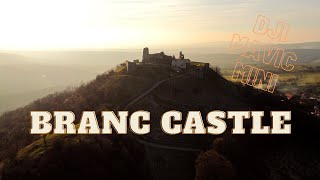 BEAUTIFUL AUTUMN SEASON / AERIAL SHORT VIDEO / BRANC CASTLE