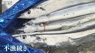 『魚にとってはお湯の中...』猛暑で海から魚が消えた！？漁獲量３割減のところも（2020年8月26日）