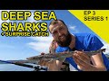 Deep Sea Sharks in Oban: Chasing Scales Species Hunt  (EPISODE 3)