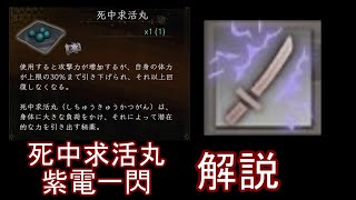 【仁王2】(ver1.21) 「死中求活丸」「紫電一閃」解説