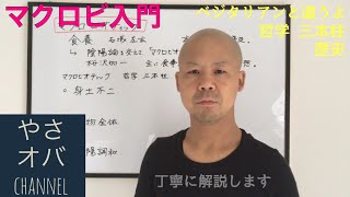 【マクロビ初心者大歓迎】マクロビオティック入門