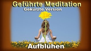 Meditation / Anleitung zur Herzöffnung (Einssein): \