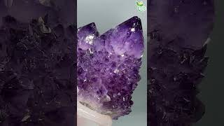 精霊が宿る石☆カクタスアメジスト Cacutus Amethyst【Mineral Stone】 #Shorts