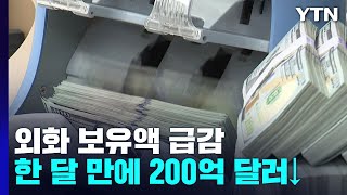 외화보유액, 한 달 만에 200억 달러 감소...역대 2위 / YTN