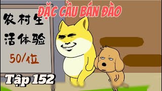 Tập 152 Đặc Cầu Bán Đào #liemreview #daccau #daccaubandao #hoathinhtrungquoc #hàihước #đềxuất