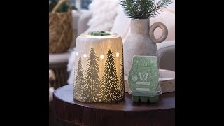 December 2024 - Scentsy warmer of the month