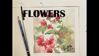 Painting and Drawing Flowers in Watercolour - with Chris Petri